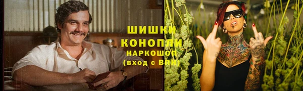 гашик Аркадак