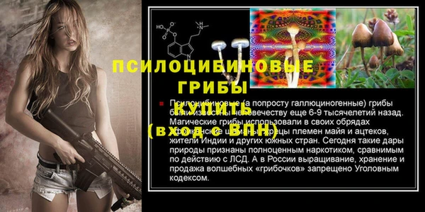 гашик Аркадак