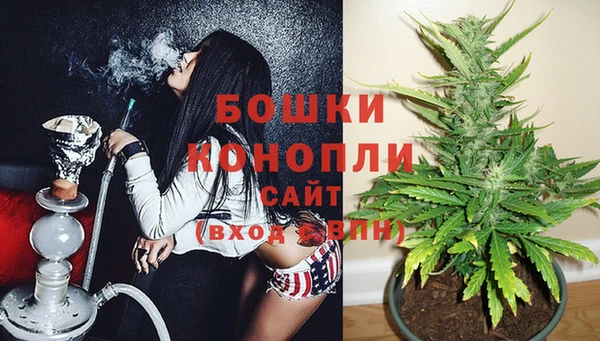 гашик Аркадак