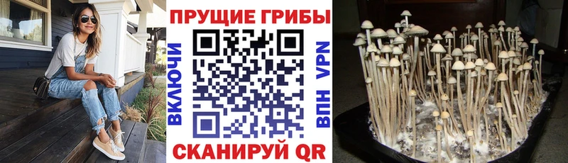 Галлюциногенные грибы ЛСД  Купить где  Выкса 